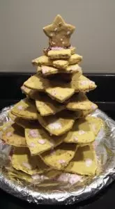 Cranberry Christmas Cookie Recipe