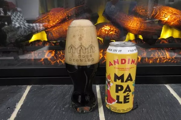 Andina Brewing